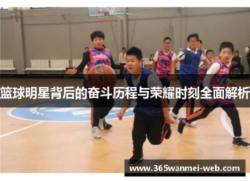 篮球明星背后的奋斗历程与荣耀时刻全面解析